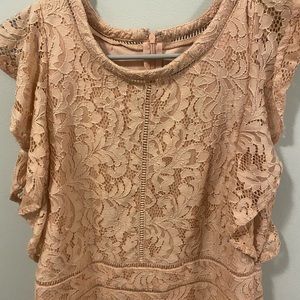 Size 12 Rose Pink Ivanka Trump Dress